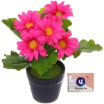 Цветочная композиция «Поцелуй лета» Хризантема ярко-розовая 20см