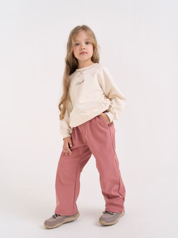 Брюки Softshell демисезонные 