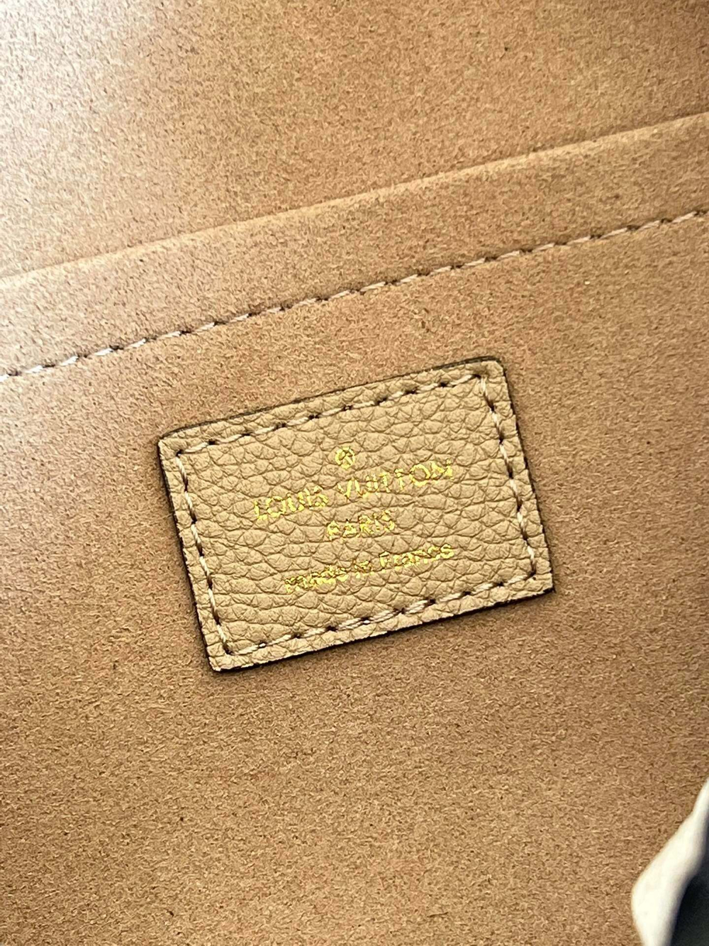 Louis Vuitton Speedy 20
