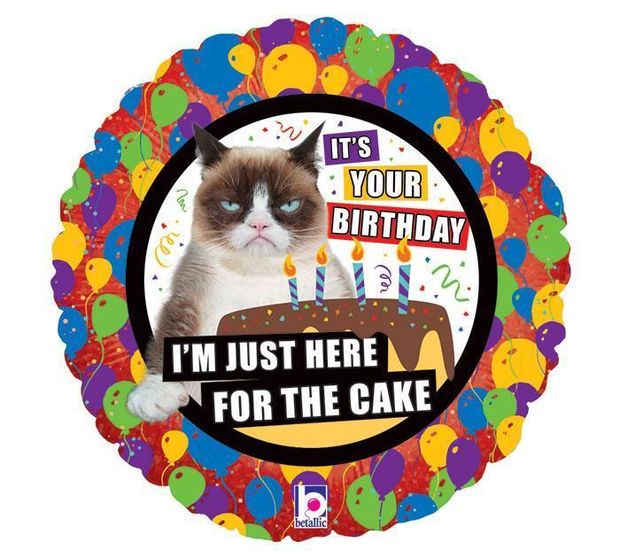 КОТ Круг 18" Унылый кот Я здесь только ради торта (БГ-15)