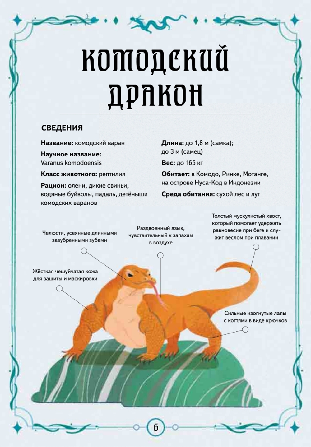 Книга выживших драконов. BIObook А. Толмачёва