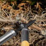 Сучкорез прямого реза, 500 мм, деревянные рукоятки, Горизонт,