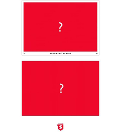 Альбом BLOCK B - BLOOMING PERIOD 5th Mini Album