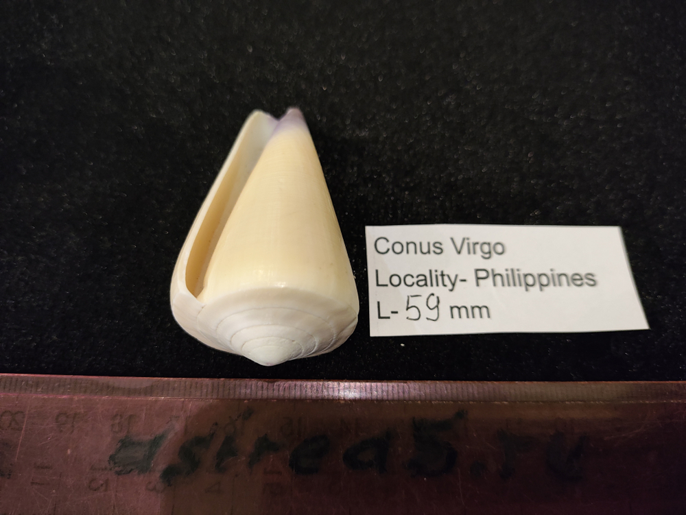 Конус Вирго