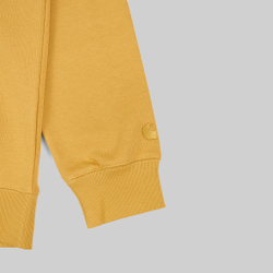 Толстовка мужская Carhartt WIP Hooded Chase Sweatshirt