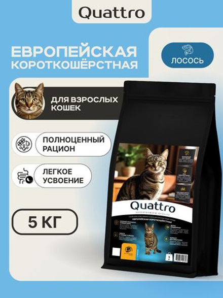 Корм сухой для взрослых кошек породы Европейская короткошёрстная, с лососем, 5 кг, QUATTRO