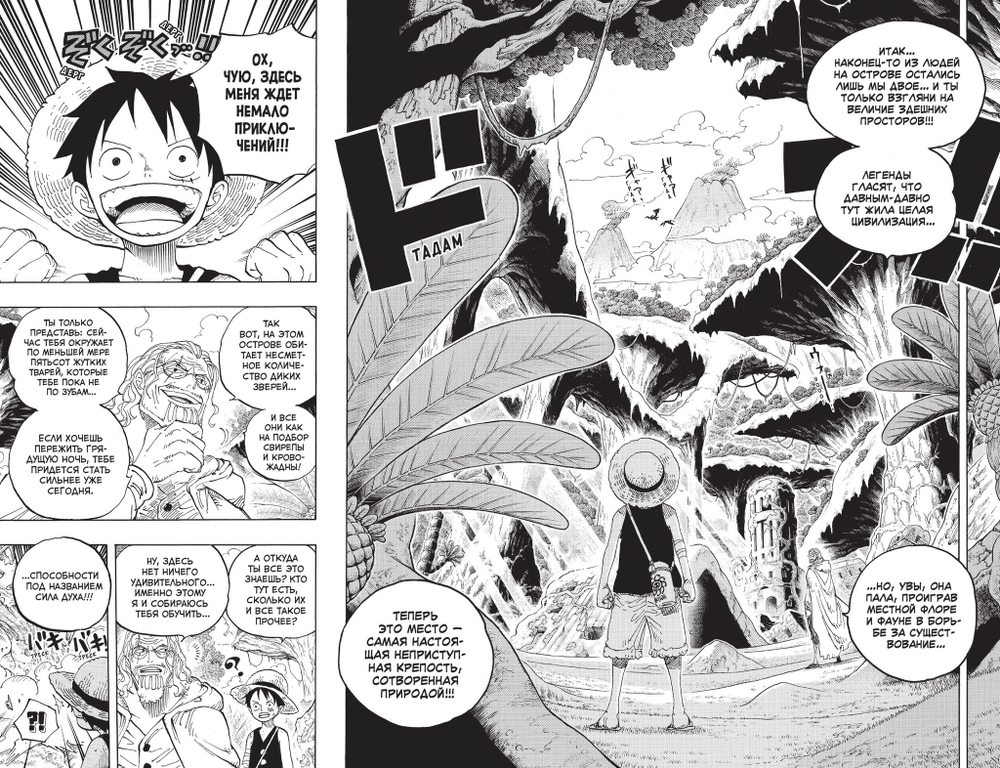 One Piece. Большой куш. Книга 21