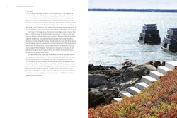 Beyond the Garden: Designing Home Landscapes with Natural Systems