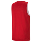 Мужская майка PUMA DACH Prac. Jersey