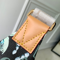 Louis Vuitton Rush Bumbag