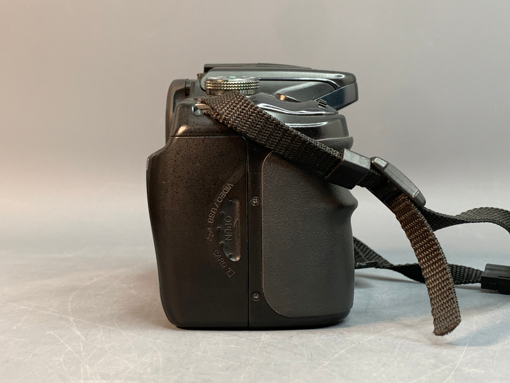 Sony A100