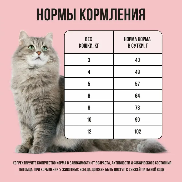 Уценка! Повр.упак./ Сухой корм BOWL WOW для взрослых кошек с индейкой и яблоком