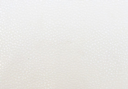 Искусственная кожа Bionica (Бионика) white shine