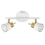 Настенно-потолочный светильник Arte Lamp ALMACH A1906PL-2WH