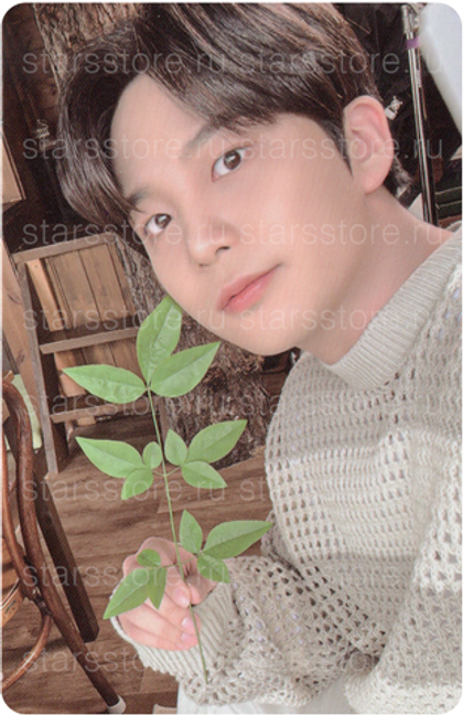 Фотокарта Jongho ATEEZ 2024 SUMMER PHOTOBOOK - (KQ Shop)