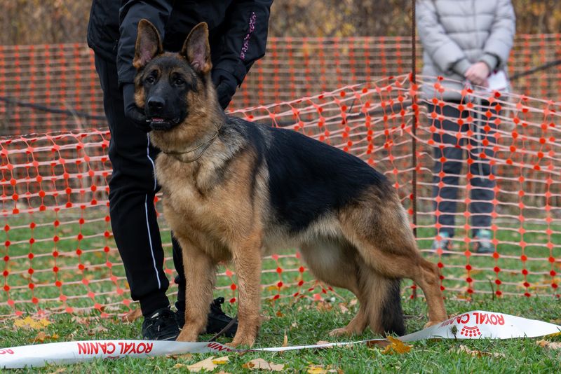 ЗАЖИГА Из Поместья Боговик