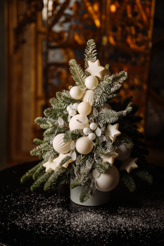 Ёлочка Снежные мысли