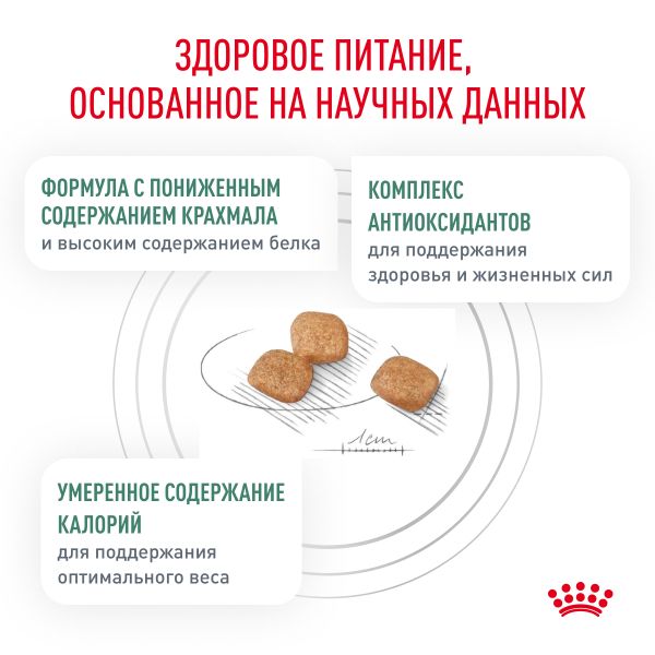 Сухой корм Royal Canin Diabetic для взрослых кошек при сахарном диабете