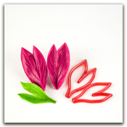 Лист пиона садового двойной