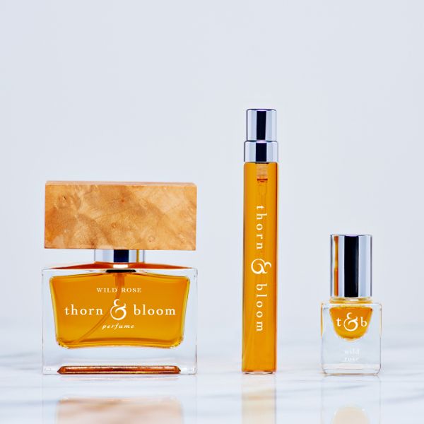 Thorn and Bloom Wild Rose