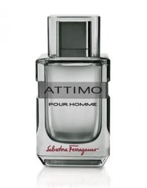 Salvatore Ferragamo Attimo Pour Homme