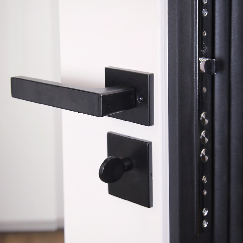 Стальная дверь "Сапсан" с зеркалом (умная дверная ручка)