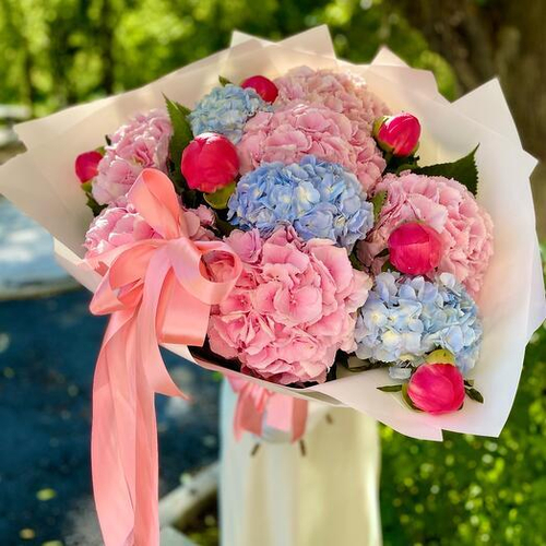 Большой авторский букет из голландских гортензий и пионов Корал Шарм. Авторский букет 003 Chalet Green