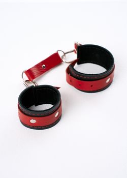 Наручи Хранитель