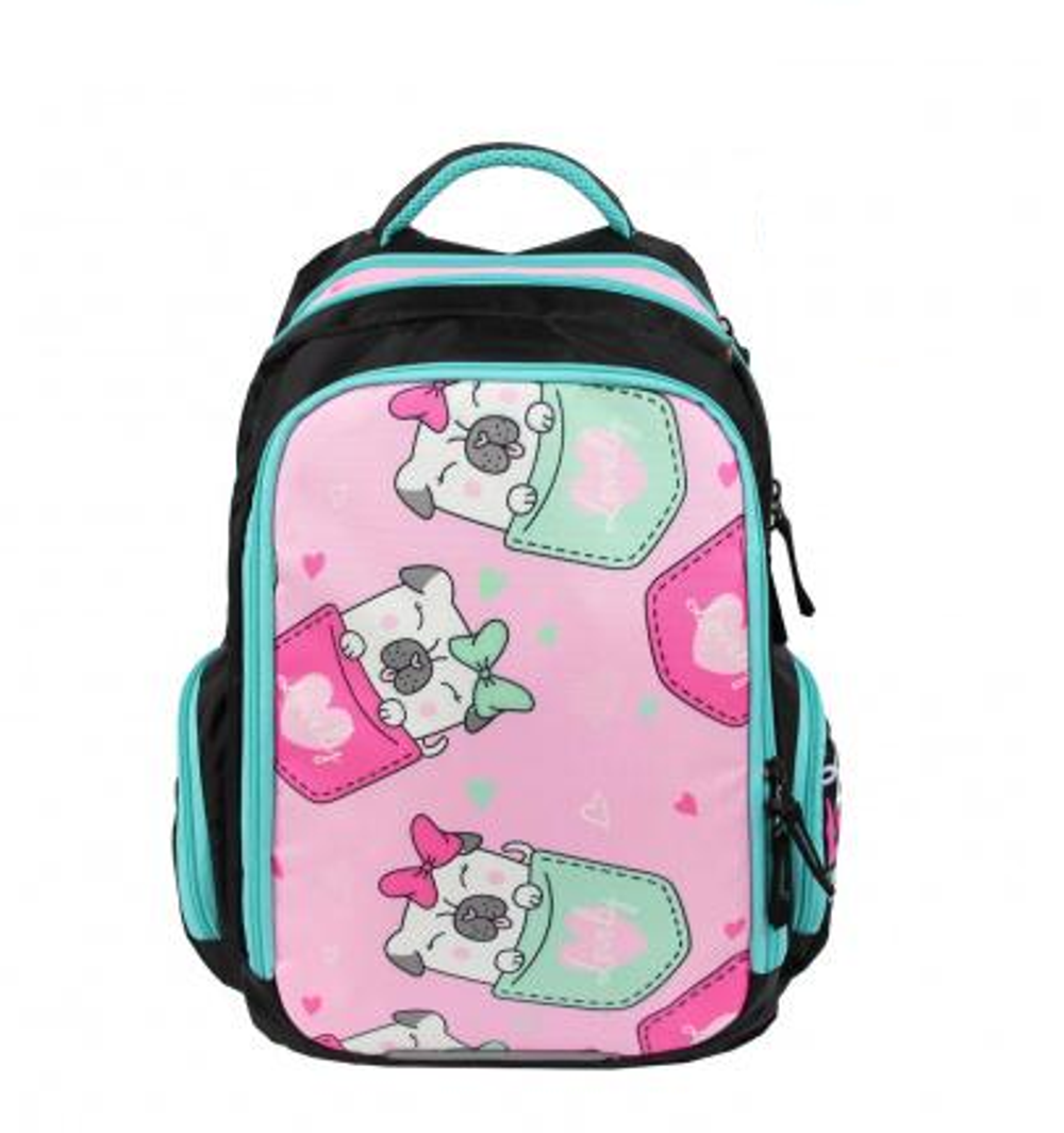 Рюкзак школьный Тайлер "Мопс" 30*44*14 см. 2 отд., 1 карман, боковые карманы на молнии (Luris)