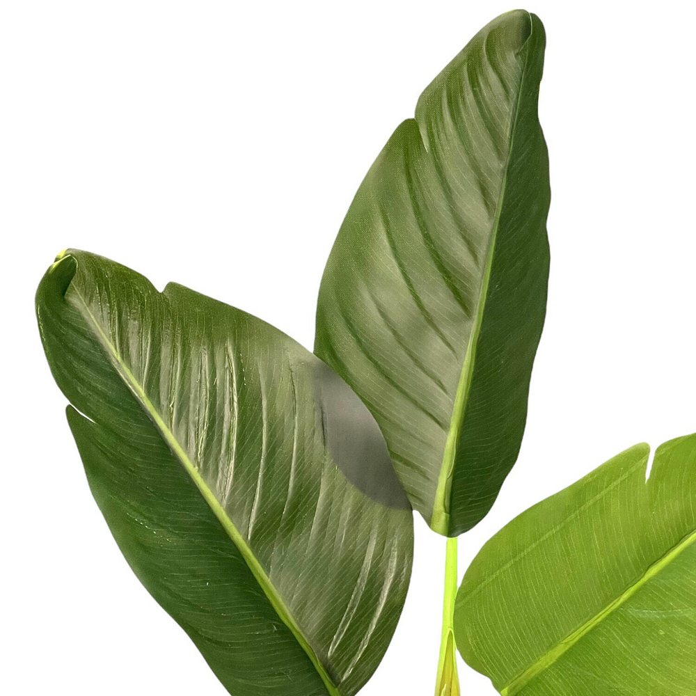 Стрелиция куст 3 листа 38 см