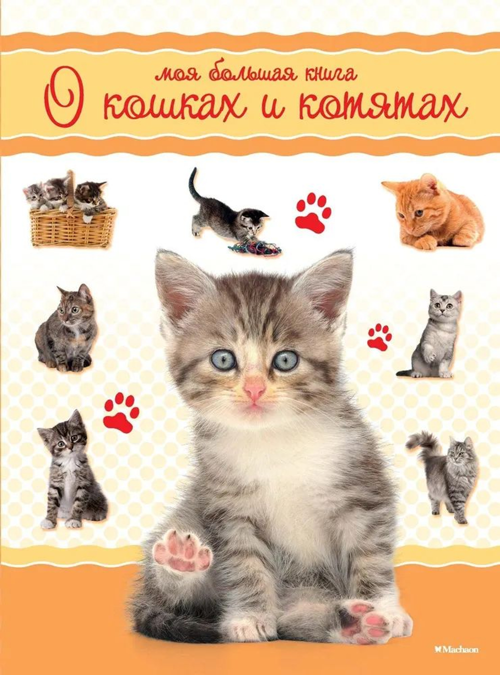Моя большая книга о кошках и котятах. Товар уцененный