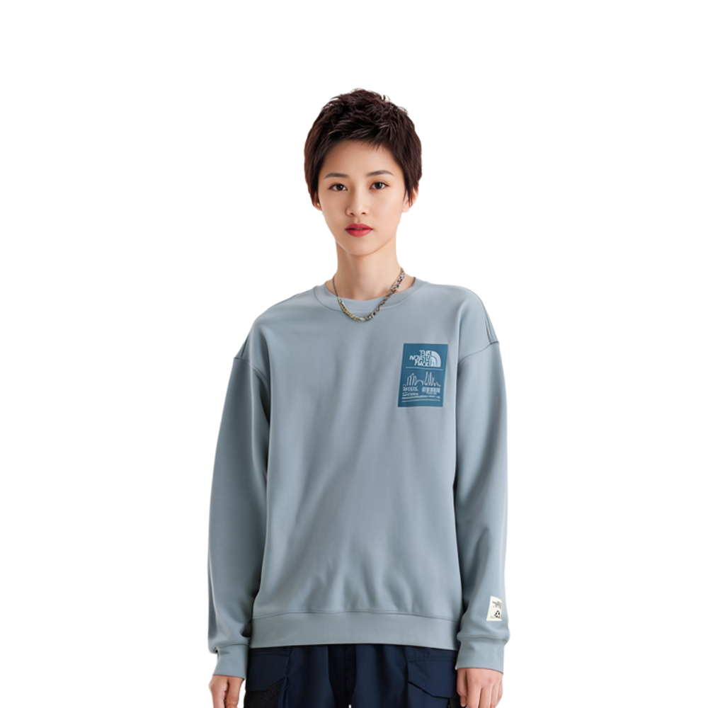 Толстовки THE NORTH FACE Logo, NM5MM61C