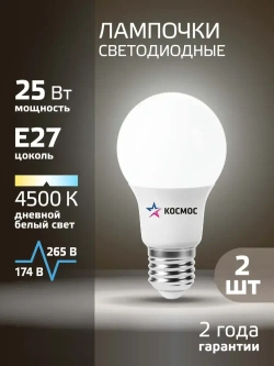 Лампочка светодиодная Е27 25 ВТ дневной свет 2 шт