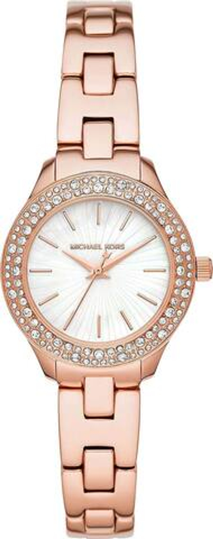 Наручные часы Michael Kors MK4558
