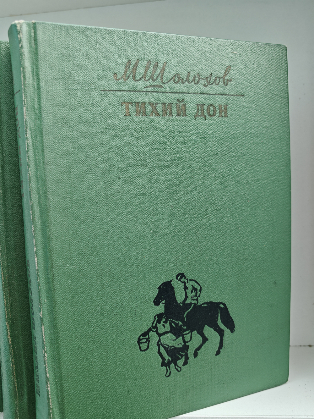 Тихий Дон (роман в четырёх книгах)