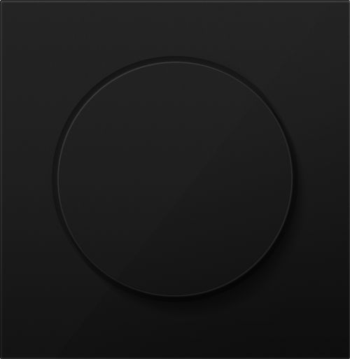 Накладка для светорегулятора поворотного, матовый карбон, серия R98