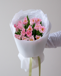 Моно из 15 пионовидных тюльпанов Краун ов Династи