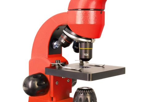 Микроскоп Levenhuk Rainbow 50L Апельсин c Levenhuk K50