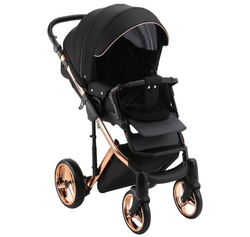 Детская коляска Adamex Chantal Special Edition 2 в 1 C8 (ЧЕРН+ЧЕРН.РИФЛЕН.ДНО+БРОНЗА РАМА)