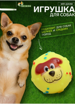 Игрушка для собак «Мяч Джим», 6 см, пищащая, винил,