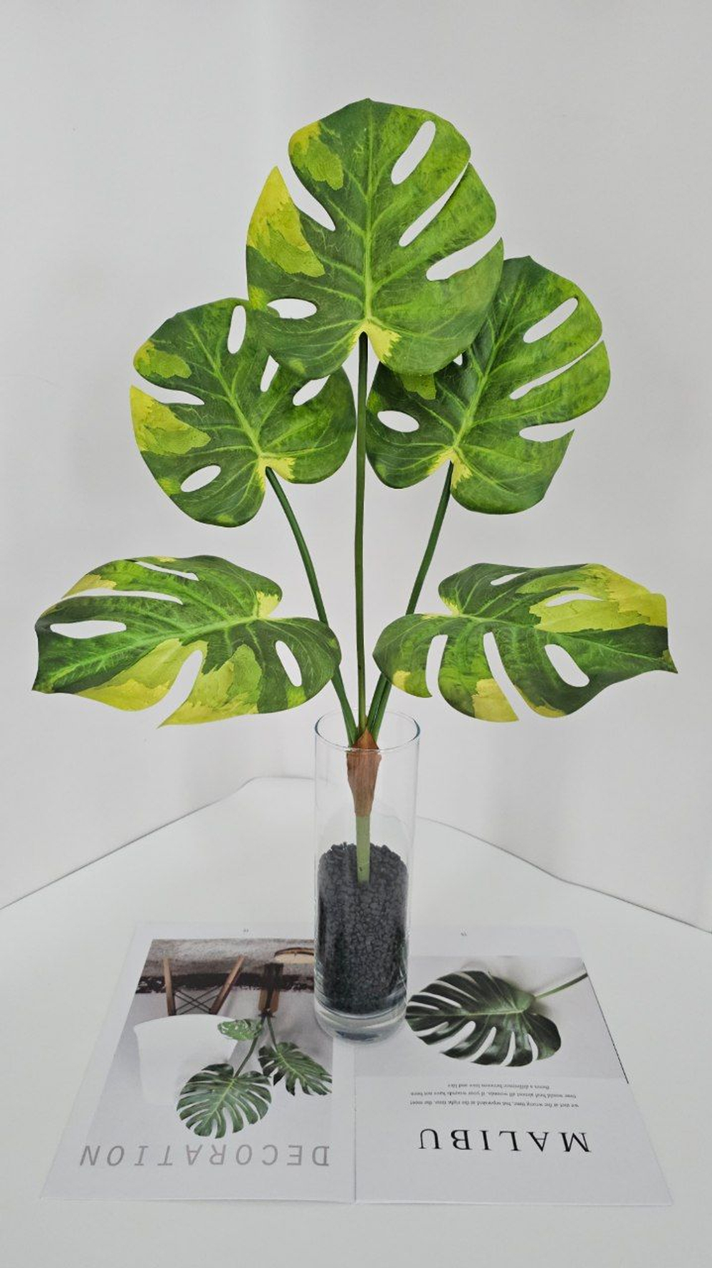 Монстера / Арт 6368