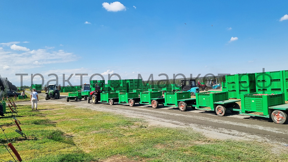 Трактор Solis-Gold | Солис-Голд 26 Mit 4x4 6+2B STD agri 6.00-12 / 8.3-20 (с ПСМ)