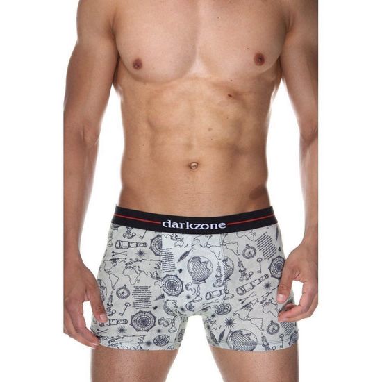 Трусы мужские боксеры светло-серые с принтом DARKZONE DZN2068