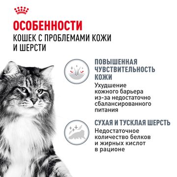 Royal Canin Hair Skin влажный корм в ЖЕЛЕ для поддержания красоты и здоровья шерсти кошек старше 1 года