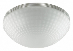 Накладной светильник Odeon Light 4937/3C
