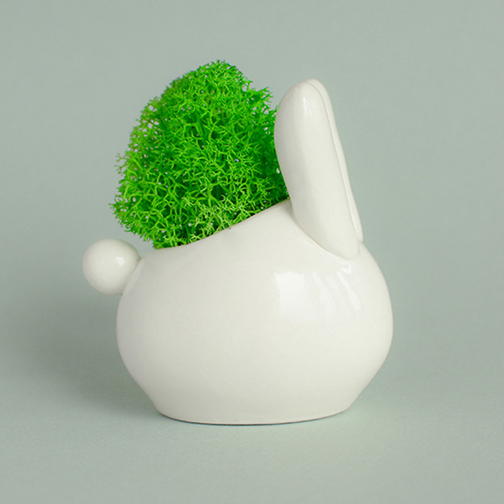 Набор для выращивания eco "Зайчик"