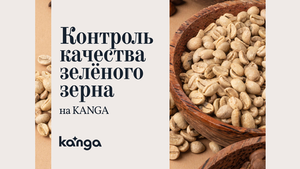 Контроль качества зелёного кофе на KANGA: как вкус начинается задолго до обжарки.