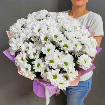 Букет из 13 белых хризантем сорта "Рейган белый"