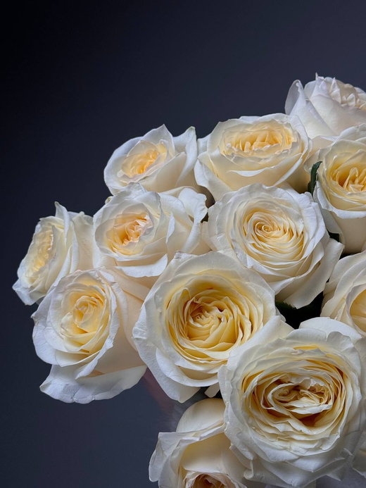 Букет из 15 кремовых пионовидных роз под ленту