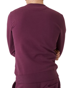 Мужская теннисная кофта Björn Borg Crew - Фиолетовый